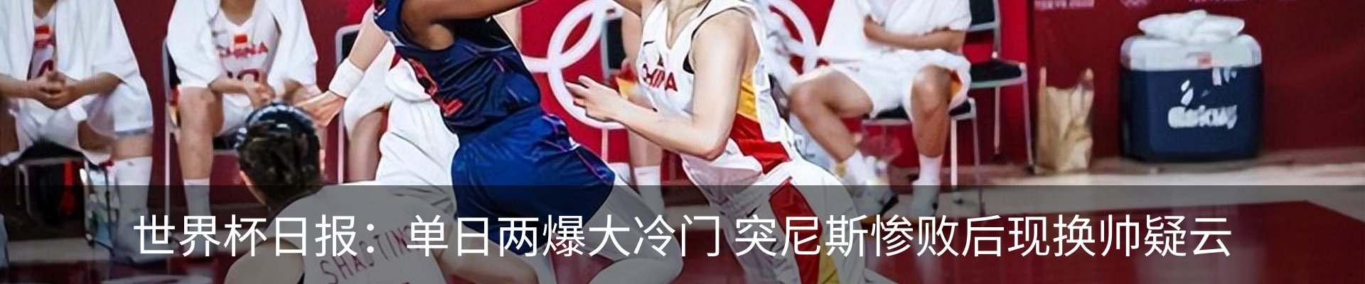 新闻动态