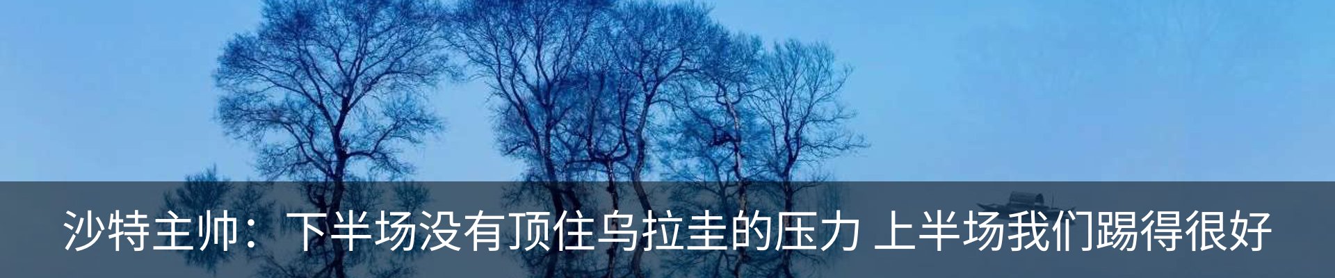 新闻动态