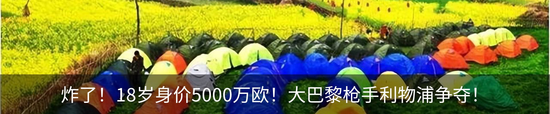 新闻动态