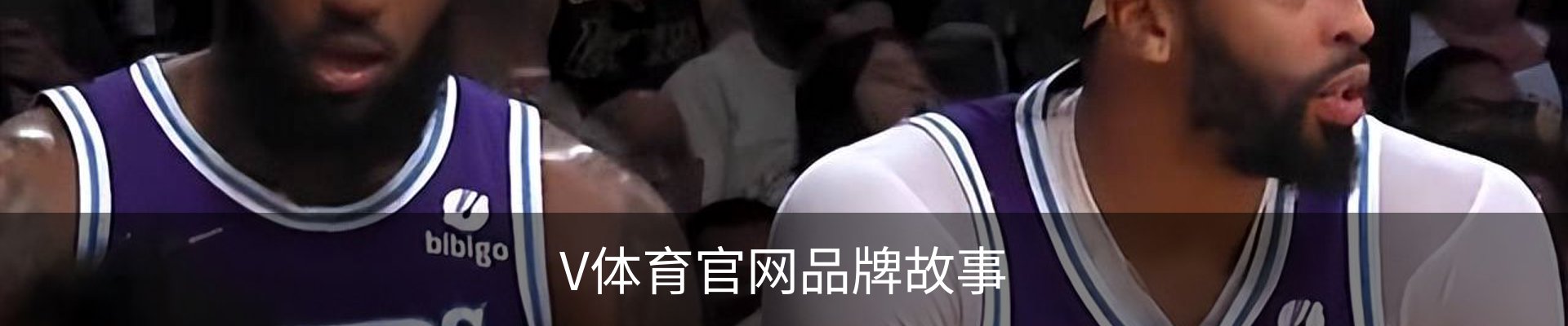 V体育官网品牌故事